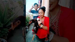 Hattimatim Tim Tara Mathe pare dim 🔥🔥🔥#trending #youtube #viralshorts #shortvideo #shortsviral