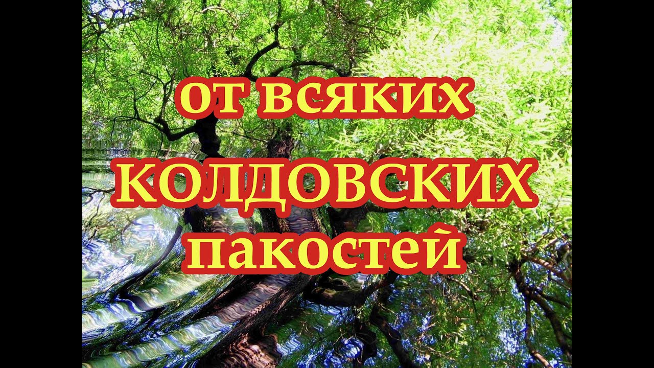 Херувимский камень вычитка. Слушать вычитку от порчи