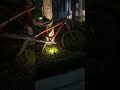 Chill night rides #mtb #bike