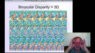 GenPsych Course 2020, Perception 6: 3D Depth Vision