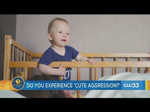 Do you experience cute aggression?