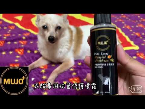 MUJO+木酢家 犬貓專用抗菌修護噴霧 小鼻試用 - YouTube