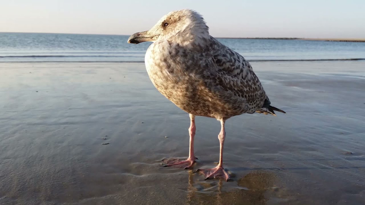 Reha-Zentrum Borkum: Rundgang durch die Klinik
