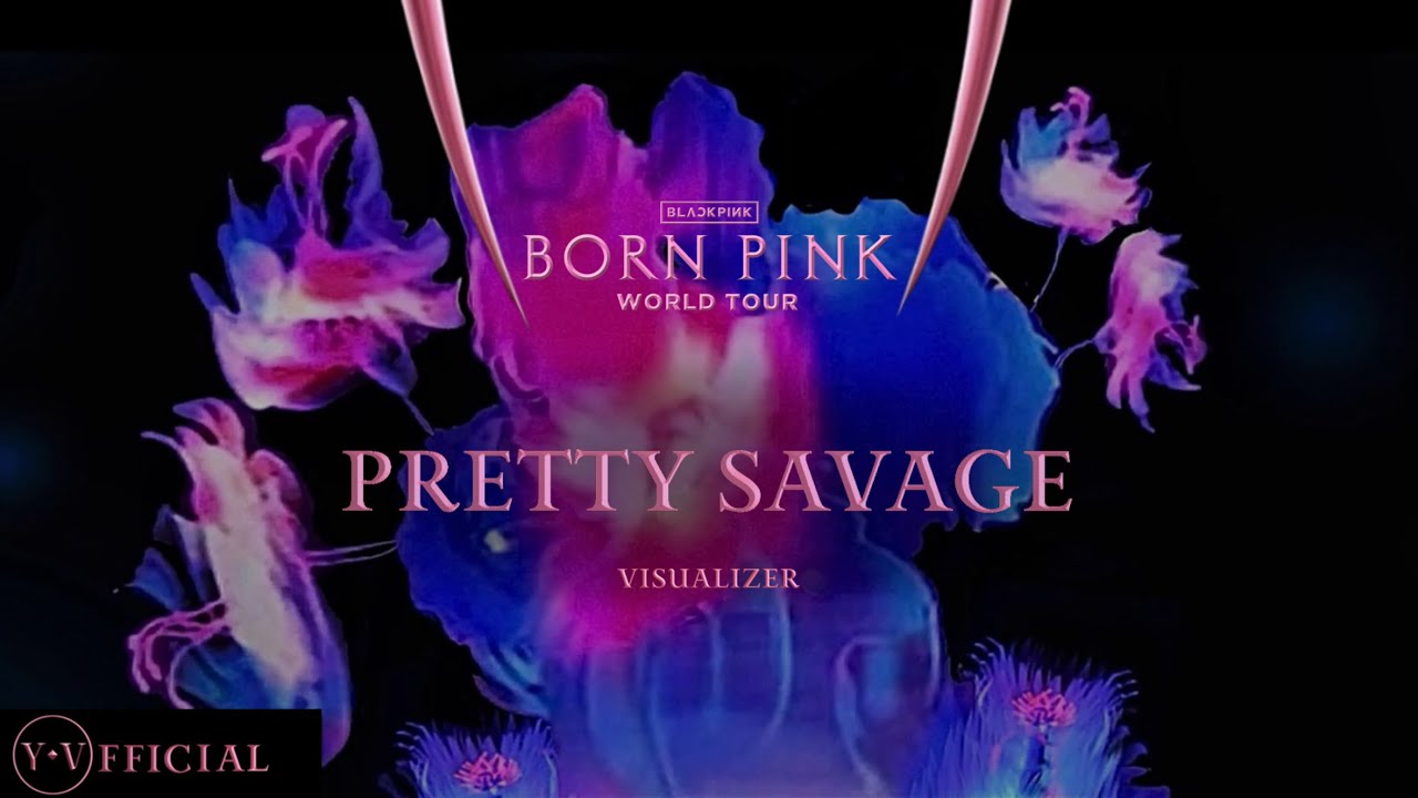 BLACKPINK  ‘Pretty Savage’  [ BORN PINK WORLD TOUR |  VISUALIZER ] | Y.V