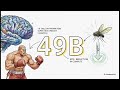 The 100x AI Revolution: What is Model Distillation?