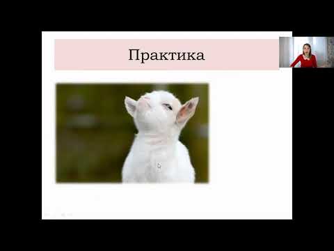 Генетика с нуля. Наследование групп крови. Задачи по генетике