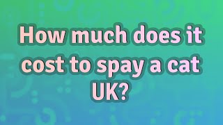 How much does it cost to spay a cat UK?