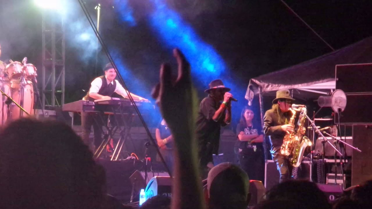 "UN GRAN CIRCO" LA MALDITA VECINDAD - BUCHACAFEST