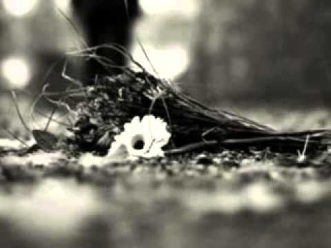 Seni Düşünürken - Ahmet Ormancı