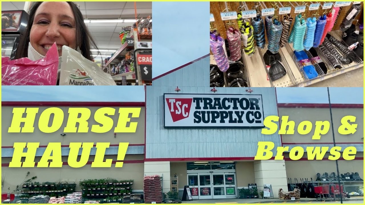 My Tractor Supply Horse Shopping Haul! Snacks, Brushes & Things🤩 YouTube