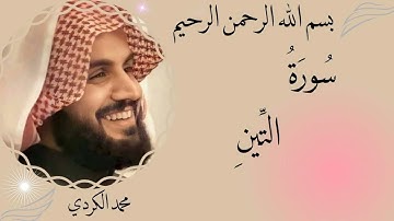 رعد محمد الكردي سورة التين (مرتل) -95