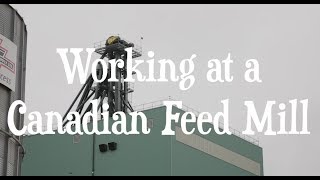 Working at a Canadian Feed Mill