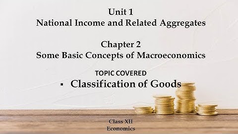 Classification of Goods  | Chapter 2 |CBSE Class 12  MacroEconomics