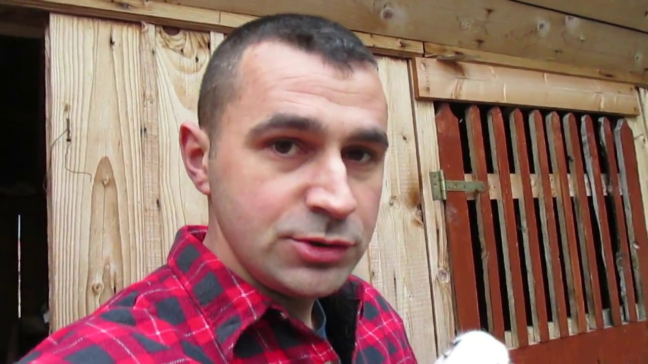 Boala coccidiozei la iepuri (Balonari,tulburari de digestie) /Tratament