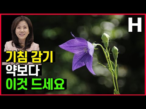 기침감기를 잡는 음식! 약만큼 좋은 이 음식 꼭 드세요!