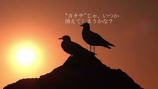 うみのみえるまち 滲音かこい