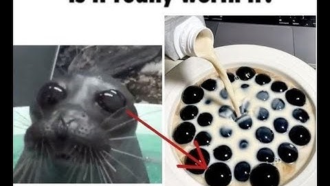 1v5 ace within 20 seconds