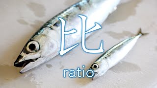 【比-ratio-】3 minute Japanese Kanji learning #14