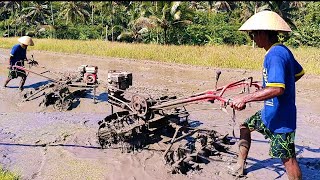 DRAGON RICE TRACTOR SMOOTHES SOIL USING GELEBEG