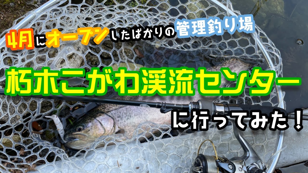 【管釣り】オープンしたばかりの朽木こがわ渓流センターに行ってみた！！