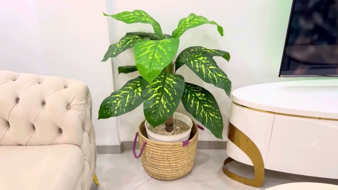 بيت نظيف ✨روتين تنظيف الصالون🌿خلطه سحرية لتنظيف 🫧الفوتايات🥰