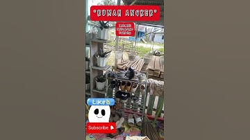 "RUMAH ANGKER" #shorts #shortvideo #seram #rumahangker #rumahterbengkalai #hantu