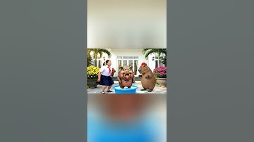 Capybara cùng chị giúp bà tắm cho con svinino bombondino và cái kết #capybara