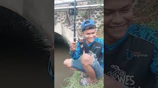 Download Lagu ikan melem MP3