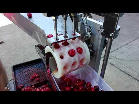 Videó: Hogyan Lehet Megőrizni A Cseresznyét