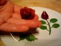 How to make Edible ROSES from a plumb