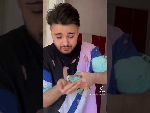 Osman Kalyoncu En Duygusal Tiktok Videoları #shorts