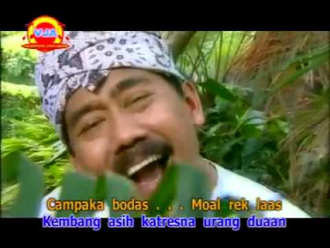 CEMPAKA BODAS dody mansyur @ lagu sunda