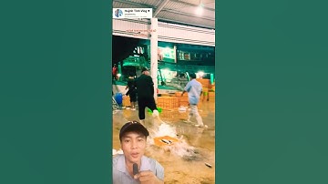 anh chàng có kỹ năng phân loại cá bằng chân cực đỉnh #shorts #videoviral