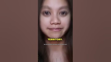 Learning English as an introvert