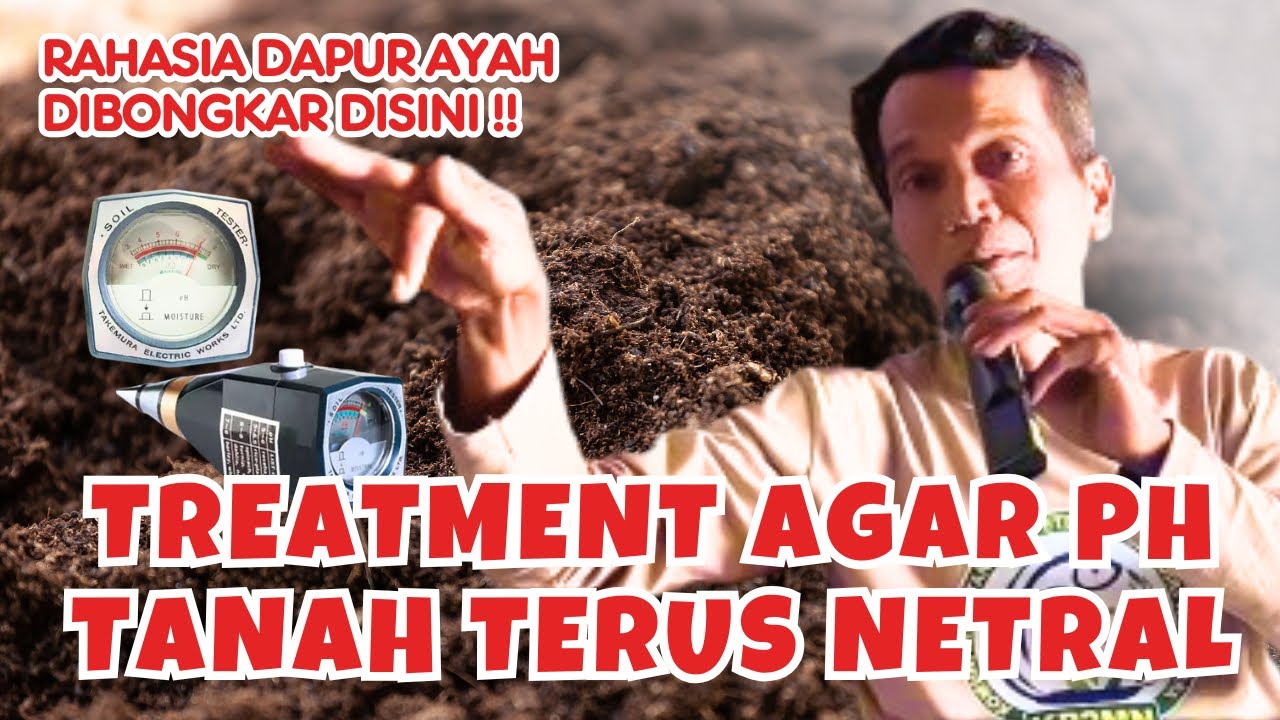 Cara Menstabilkan pH Tanah Agar Tetap Netral pola KP2M Nusantara