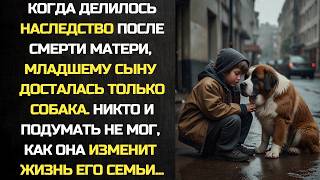 видео: Когда делили наследство, младшему сыну досталась собака.Никто подумать не мог, как она изменит жизнь картинка: Когда делили наследство, младшему сыну досталась собака.Никто подумать не мог, как она изменит жизнь
