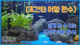 구피 어항환수 방법 구피키우기 어항 물갈이 쉽게해요~