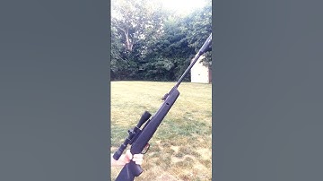 Gamo Whisper .177 Air Rifle