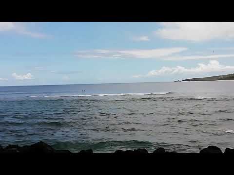 Tourisme Travel: The Reunion island - Saint Leu 2020 à la Réunion 30