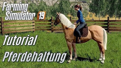 LS19: Pferdehaltung Tutorial - für Einsteiger