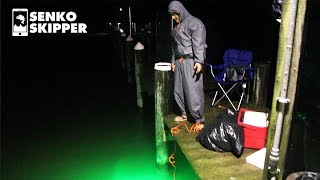 Pier Fishing using Glowing Fish Kryptonite
