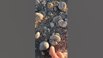 Columbia basin agates! #agate #nature #washington #river #crystal #rockhound #rockstar