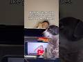 Suscríbete y tu crush te hará caso #tiktok #comedyshorts #instagram #tiktokvideo #viral #viralvideo