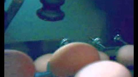 Egg coding EggFlex HeDiPack on Moba 68 88 grader