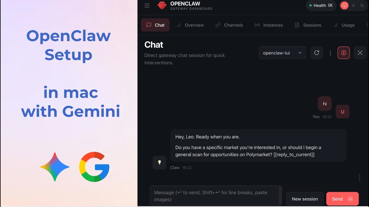 OpenClaw Setup in mac with Gemini