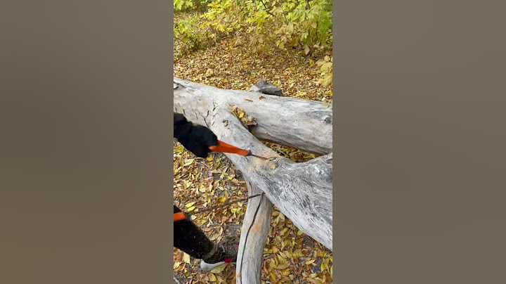 Ручная цепная пила в действии 😎👍 #shorts