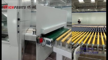 simple and luxury furniture automatic spraying line by RICHFRUITS finishing solution