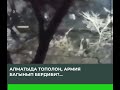 Алматыда тополоң. Армия качып кетти. Багынып бердиби?...