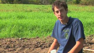 Vegetable Gardening : How to Grow Green Peppers