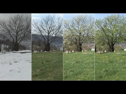 "Into Summer" - HD winter-spring-summer season transition sequences